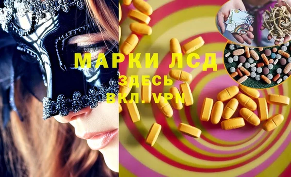 сатива Алзамай