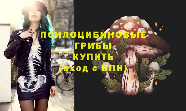 сатива Алзамай