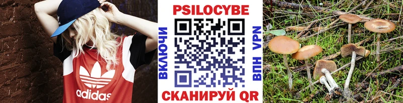 Галлюциногенные грибы прущие грибы  Купить  Белая Калитва 
